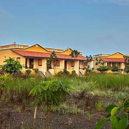 Blackbuck Safari Lodge Velavadar Bavliari Eksteriør bilde