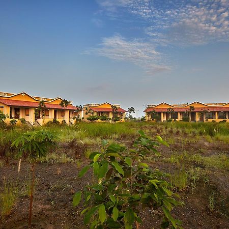 Blackbuck Safari Lodge Velavadar Bavliari Eksteriør bilde
