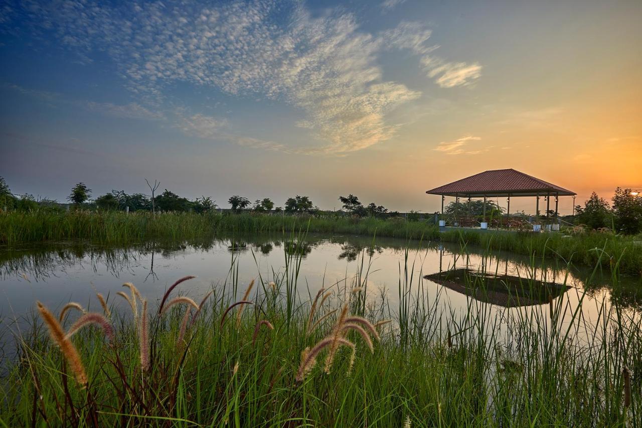 Blackbuck Safari Lodge Velavadar Bavliari Eksteriør bilde