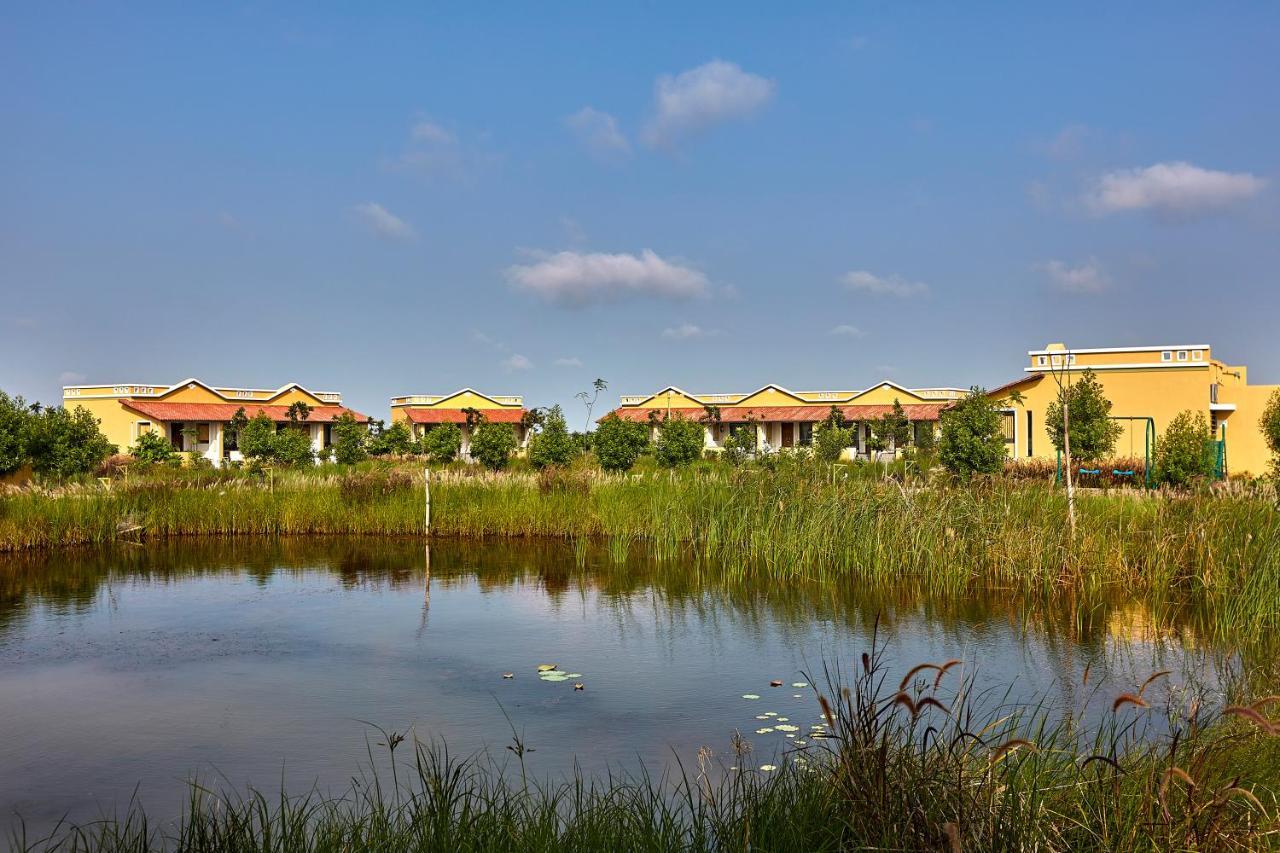 Blackbuck Safari Lodge Velavadar Bavliari Eksteriør bilde
