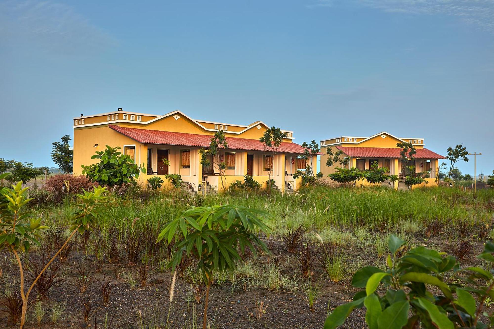 Blackbuck Safari Lodge Velavadar Bavliari Eksteriør bilde