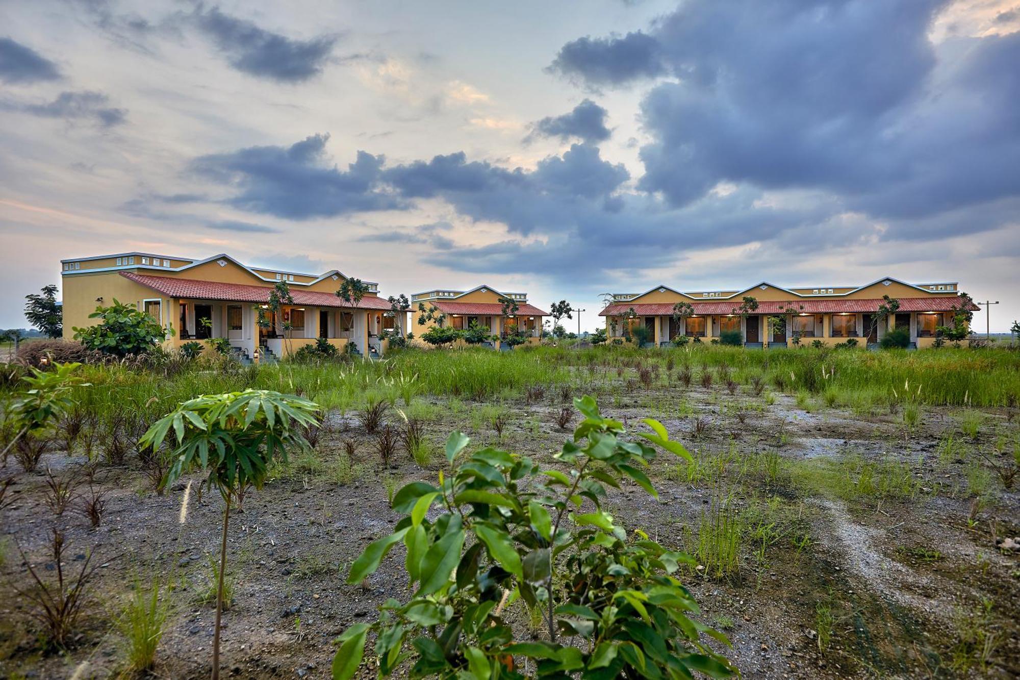 Blackbuck Safari Lodge Velavadar Bavliari Eksteriør bilde